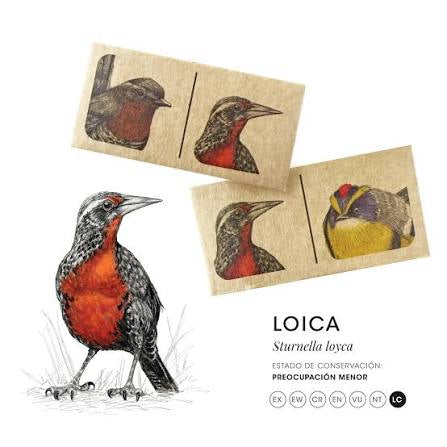 Dominó aves de Chile con