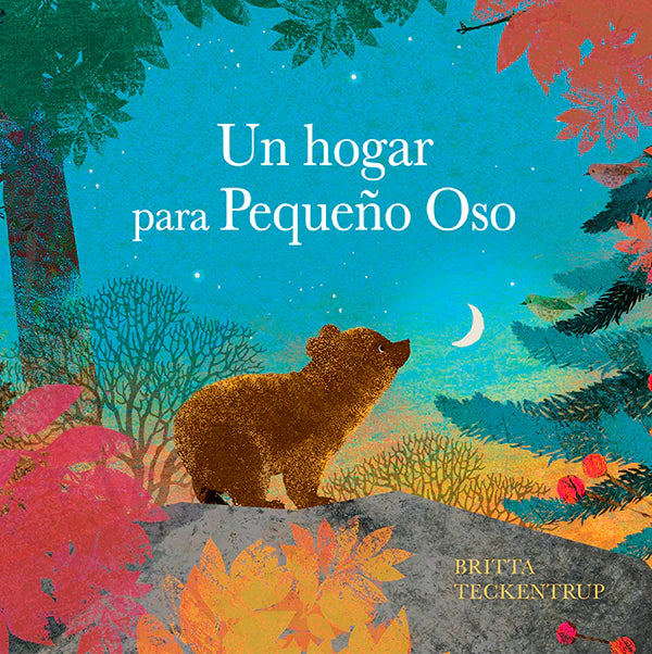 Un hogar para Pequeño Oso