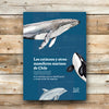 Los cetáceos y otros mamíferos marinos de Chile