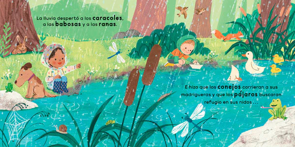 Veo una nube. Ciencia para niños