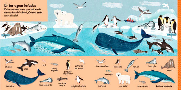 101 criaturas marinas para descubrir