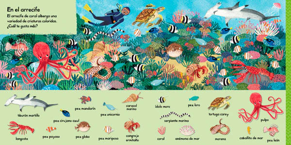 101 criaturas marinas para descubrir