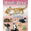365 Stickers -Mundo Animal - GATOS