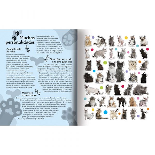365 Stickers -Mundo Animal - GATOS