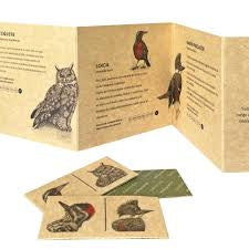 Dominó aves de Chile con