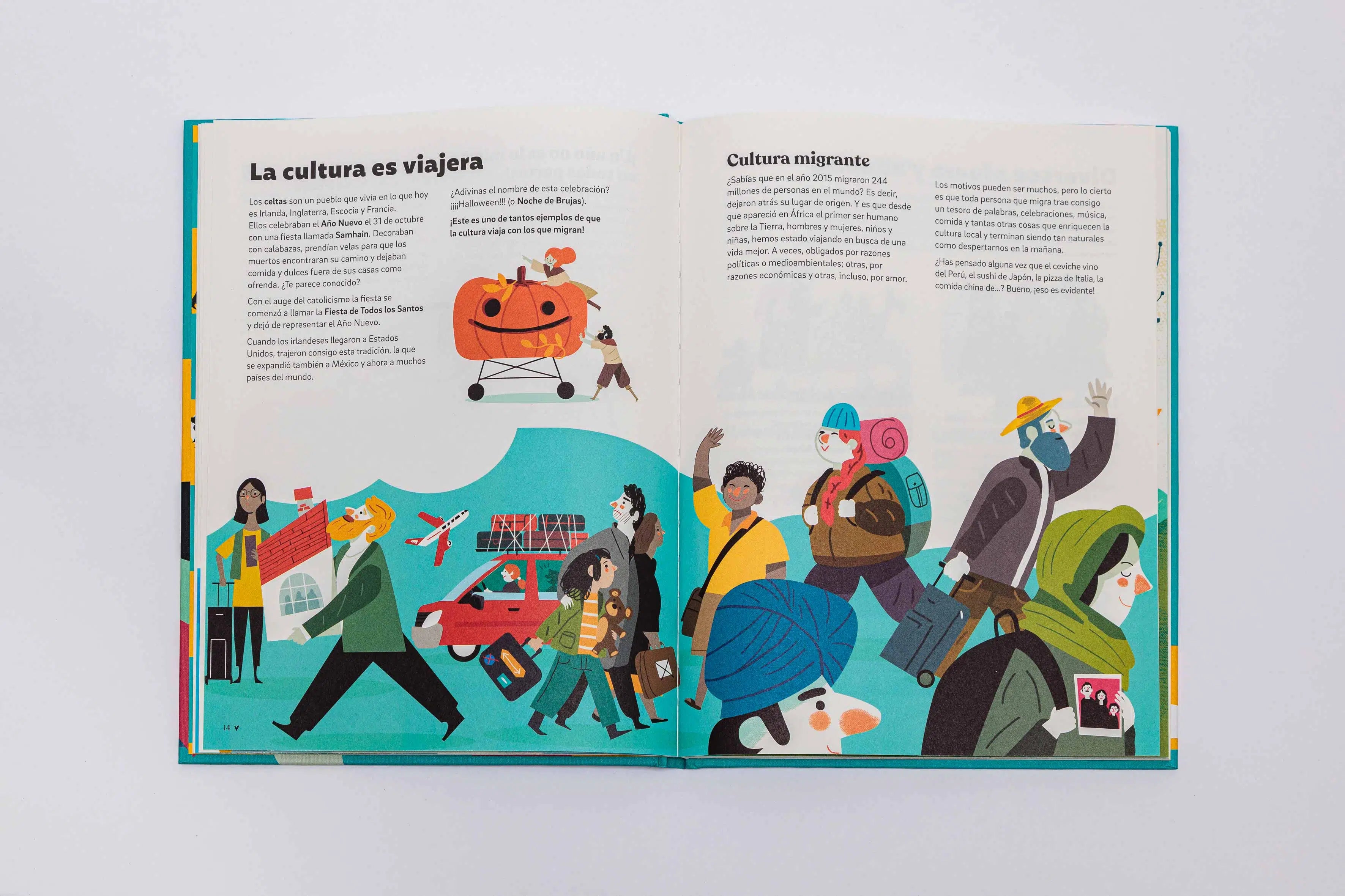 Somos diversidad