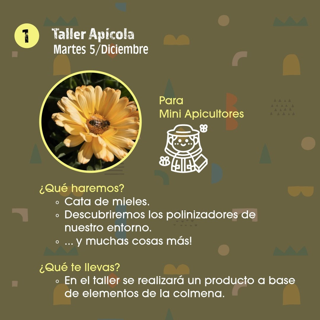 Taller apícola 1 niño/a