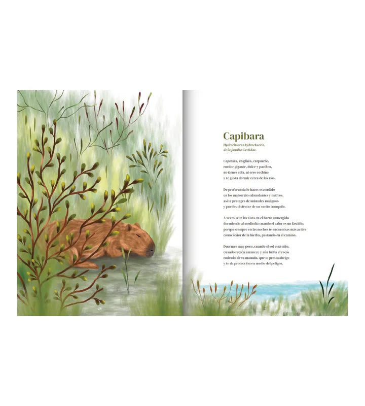 Dormir. Cómo sueñan los animales de América