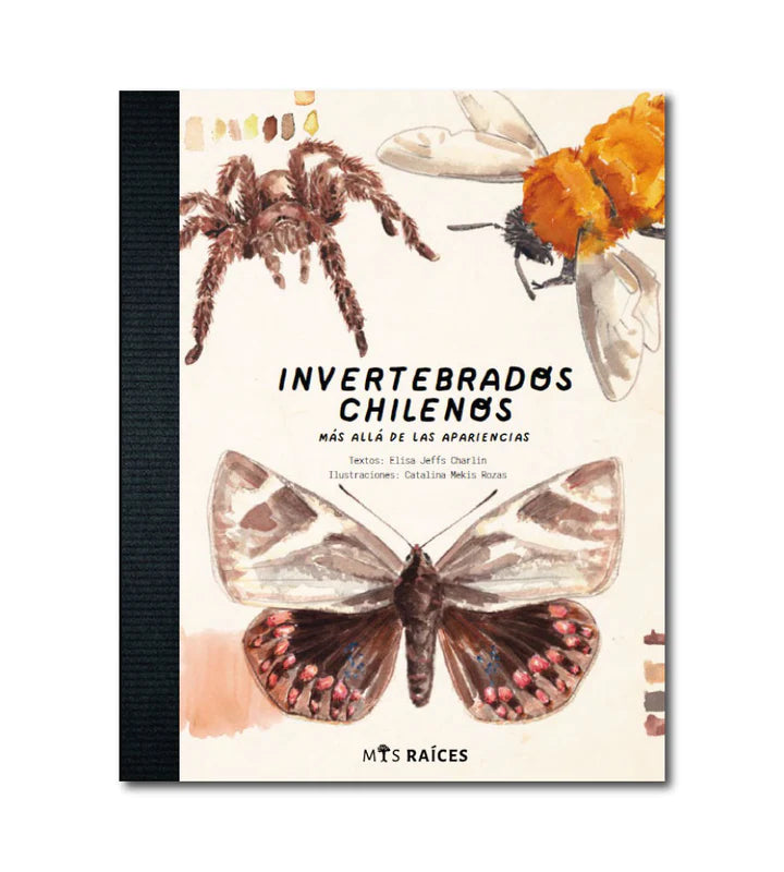 Invertebrados chilenos mas alla de las apariencias