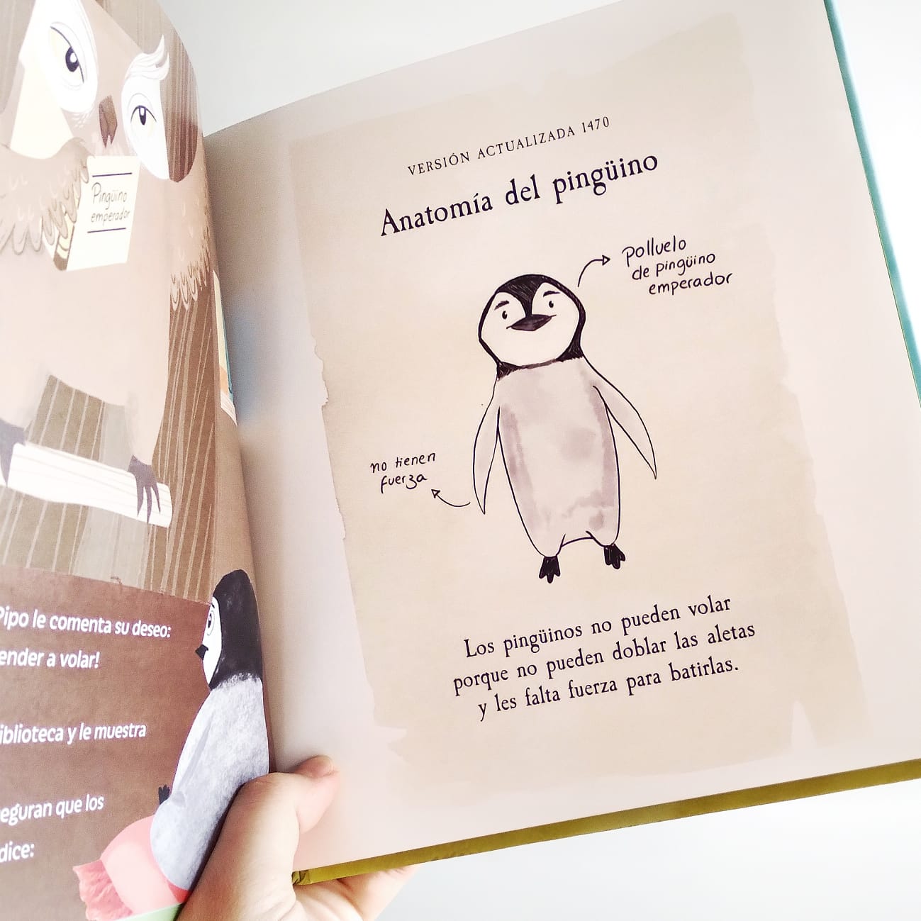 La gran idea de Pipo