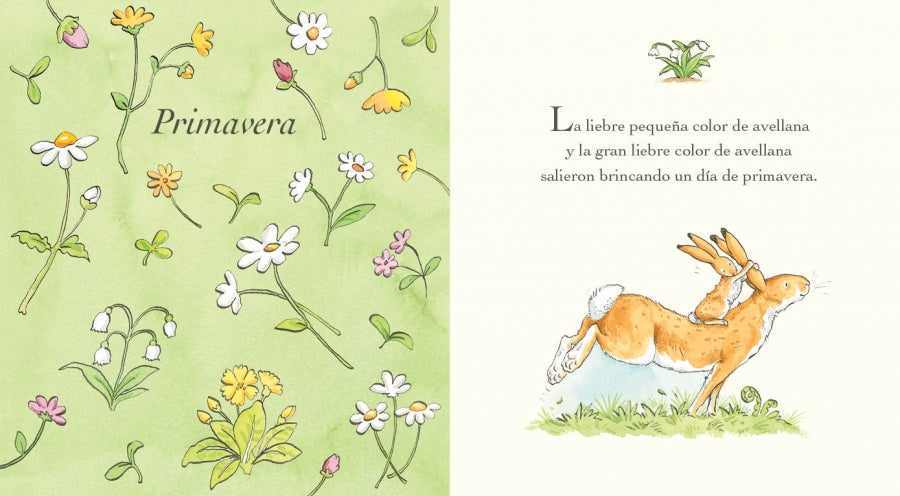 Adivina cuánto te quiero durante todo el año