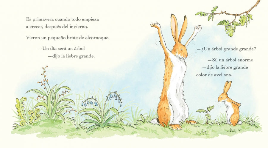 Adivina cuánto te quiero durante todo el año