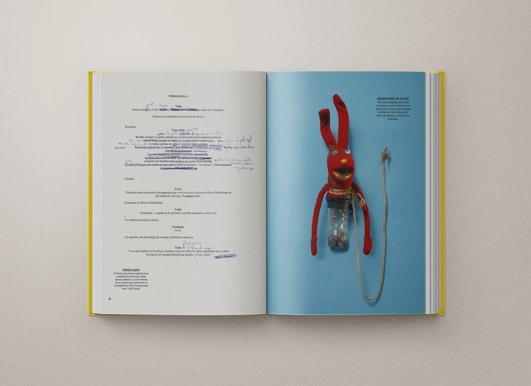 Catálogo oficial MUSEO 31