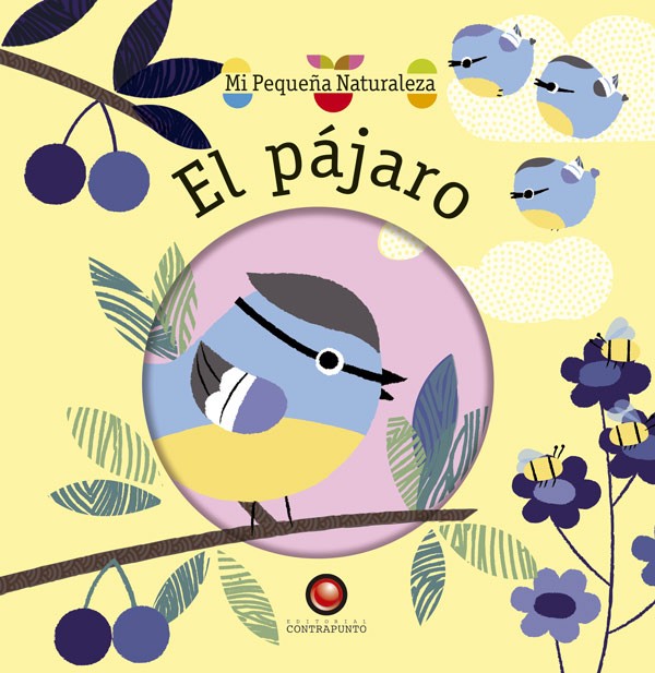Mi pequeña naturaleza - El Pájaro